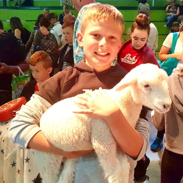 A happy boy holding a little lamb