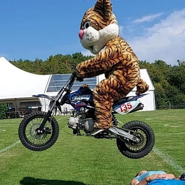 A tiger mascot jumping on a motorcycle A tiger mascot jumping on a motorcycle