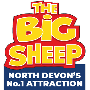Welcome to The Big Sheep Welcome to The Big Sheep
