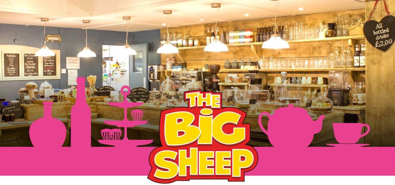 Food & Drink The Big Sheep