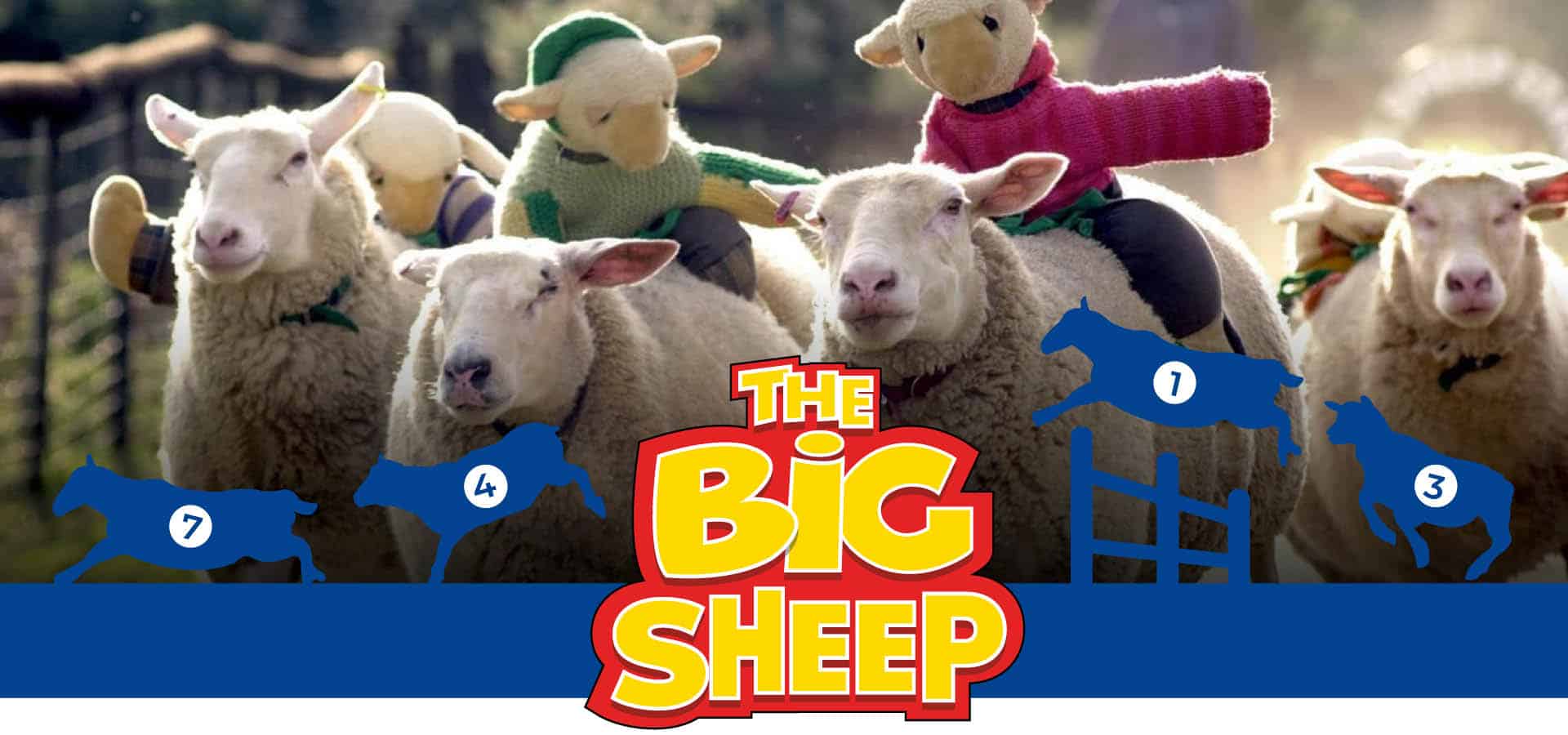 The Big Sheep Live Shows