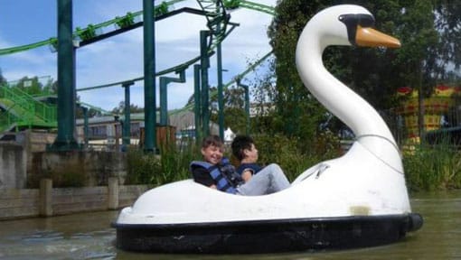 Children having fun on a Swan Pedalo