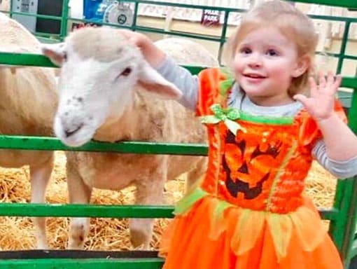 A little girl in Halloween costume petting a sheep