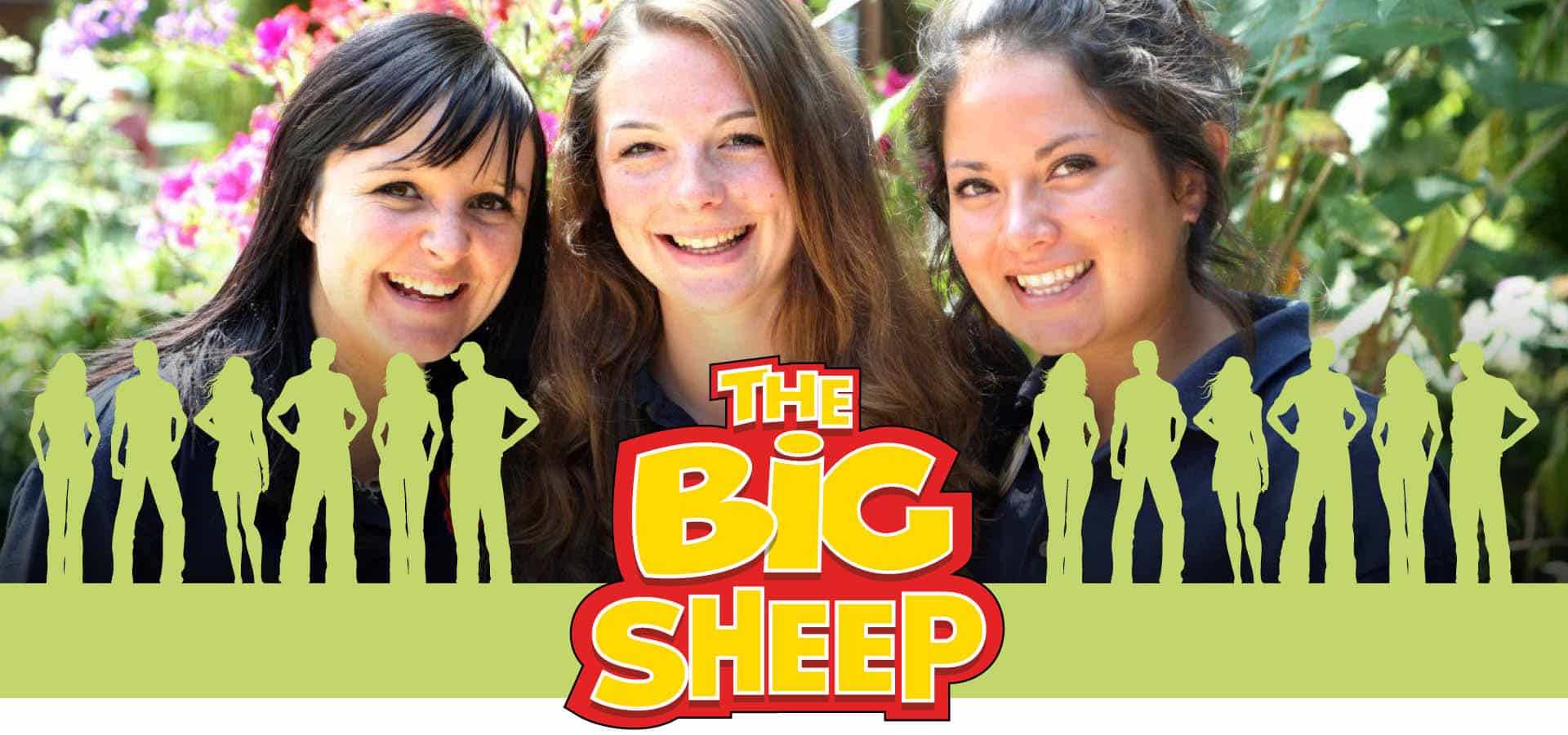 About The Big Sheep About The Big Sheep