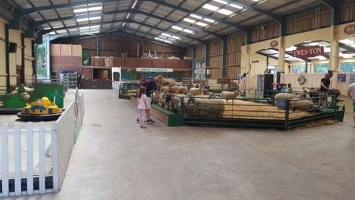 The Big Sheep Animal Barn