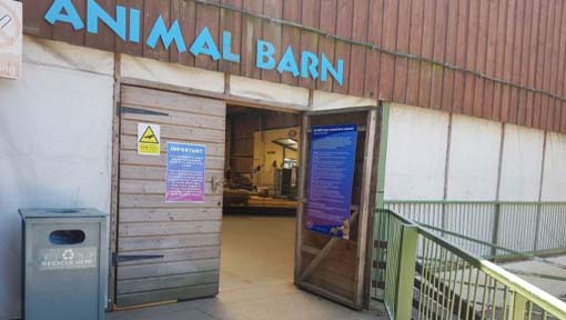 The Big Sheep animal barn entrance