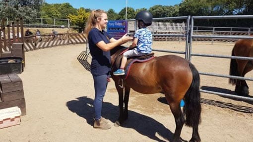 Pony Ride Arena Pony Ride Arena