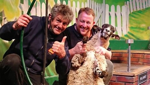 Shearing Show Smiles