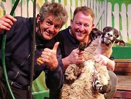 When considering things to do in bad weather, don't forget our live sheep shearing show.