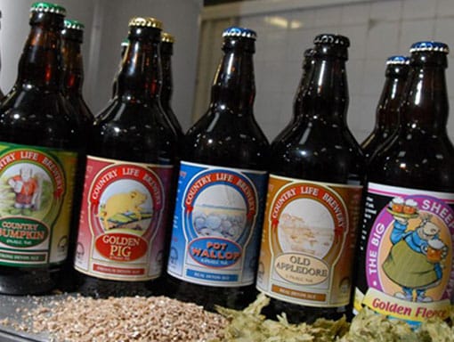 Some of The Big Sheep bottled beers from the brewery Some of The Big Sheep bottled beers from the brewery