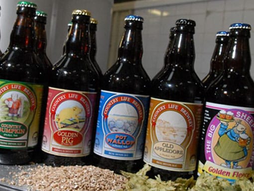 Some of The Big Sheep bottled beers from the brewery