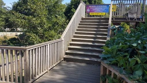 Steps leading to Swan Pedalos