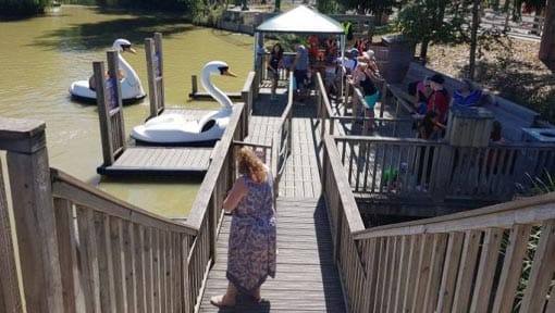 Swan Pedalos