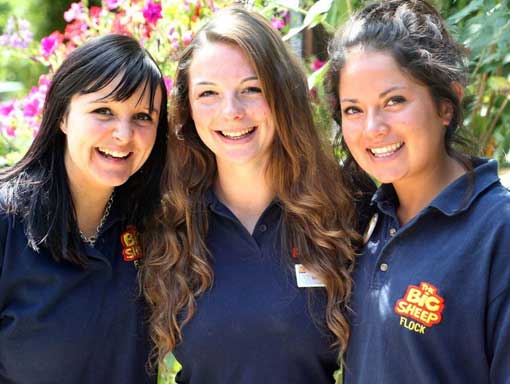 Three happy members of The Big Sheep staff Three happy members of The Big Sheep staff