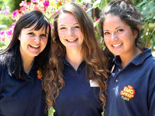 Three happy members of The Big Sheep staff