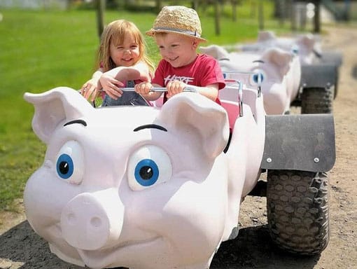 Toddlers enjoying The Big Sheep train ride