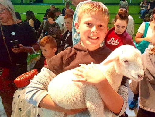 A happy young boy holding a little lamb