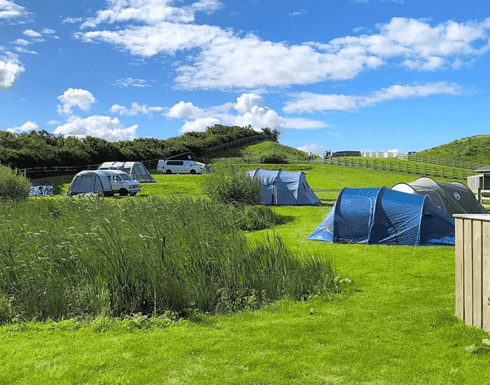 Camping Adventure Camping Site