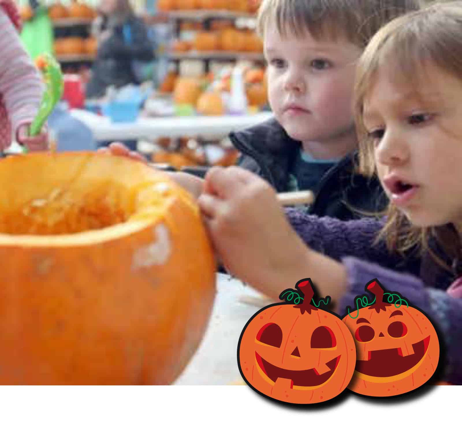 Pumpkin Carving Pumpkin Carving