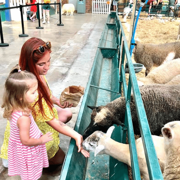 Children feeding a greedy lamb