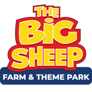 BIG SHEEP LOGO - Farm & Theme Park