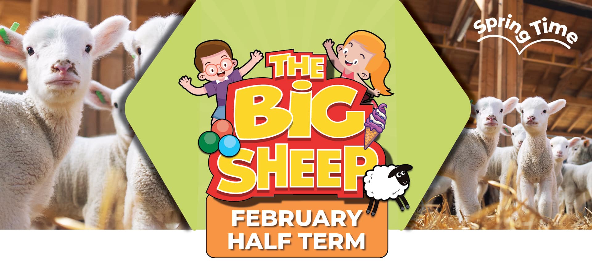 Big Sheep Half Term Big Sheep Half Term