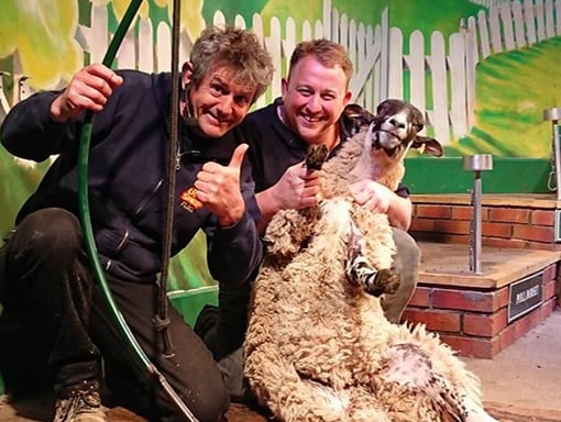 Big sheep Half term Big sheep Half term