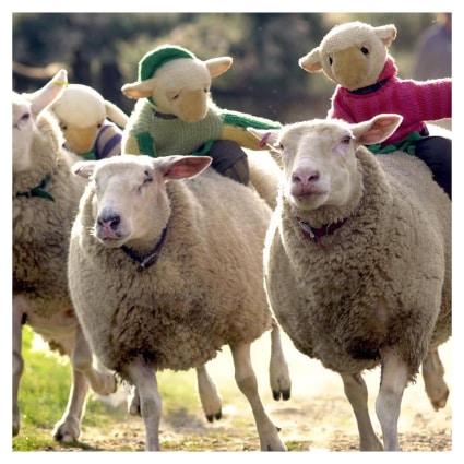 Big Sheep Spring Fun