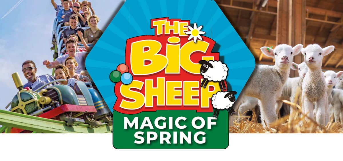 Big-Sheep-Spring