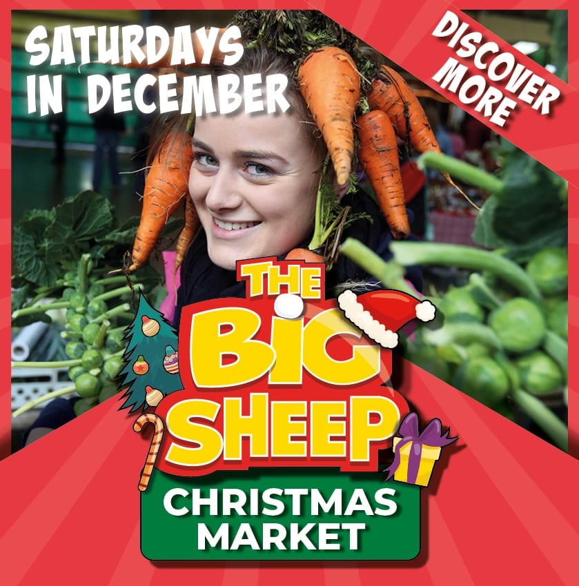 The Big Sheep summer of fun