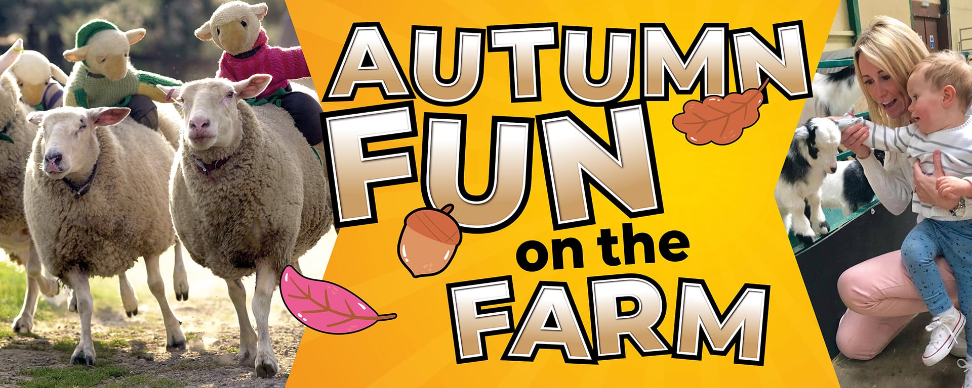 Autumn Fun on the Farm Autumn Fun on the Farm