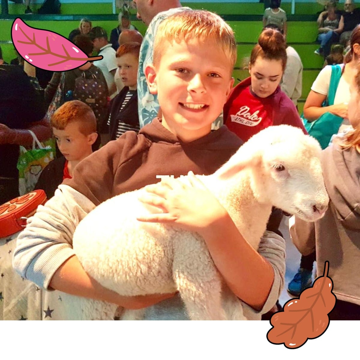 Meet the animals Meet the animals