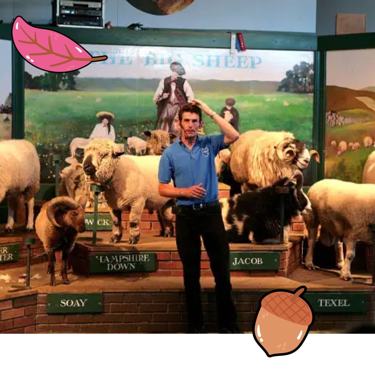 Sheepy Show Sheepy Show