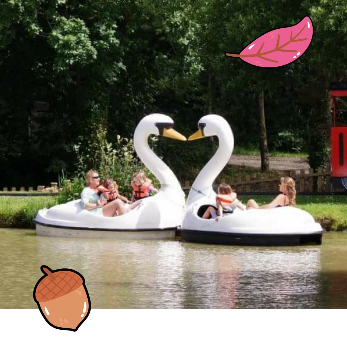 Swan Lake Swan Lake