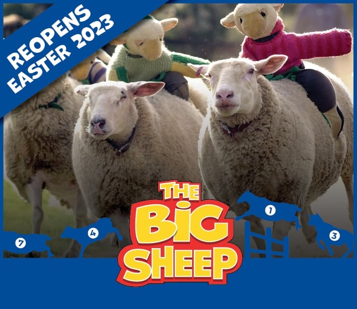 The Big Sheep The best family day out in North Devon!