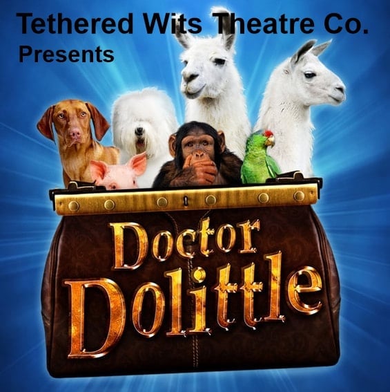 Dr Do Dolittle Theatre Dr Do Dolittle Theatre
