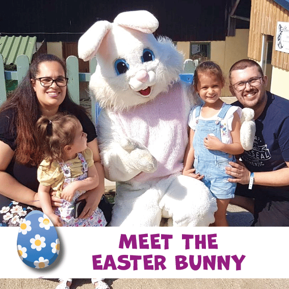 Easter Bunny Easter Bunny