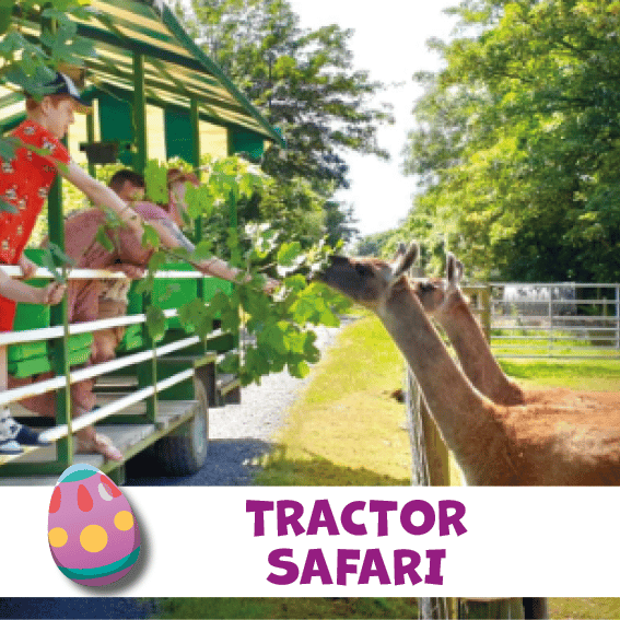 Tractor Safari Tractor Safari