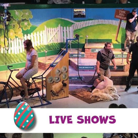 Live Shows Easter Easter Website Assets 3