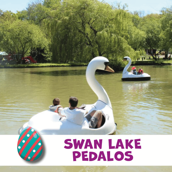 SWAN LAKE PEDALOS SWAN LAKE PEDALOS