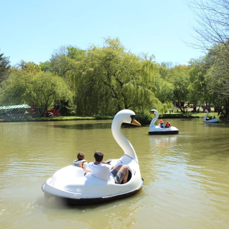 Swan-Lake