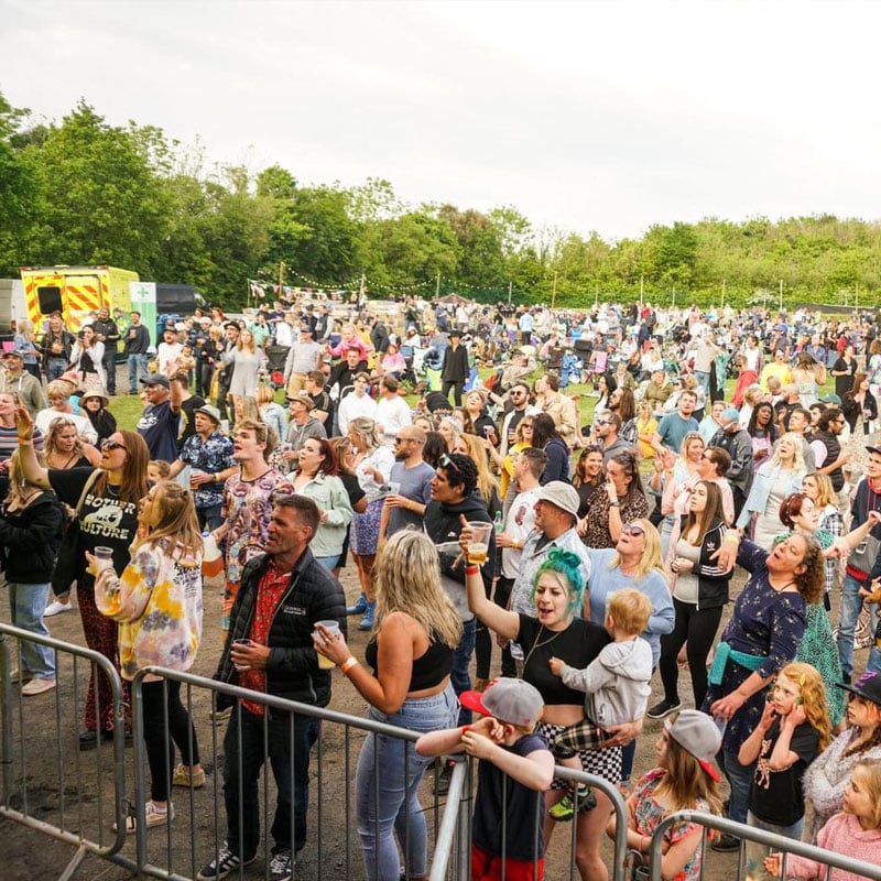 pigstock-crowd-1