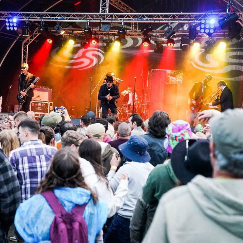 pigstock-crowd-3