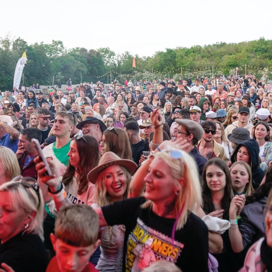 Festival Crowd