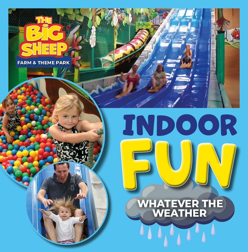 The Big Sheep summer of fun