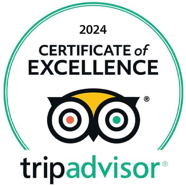 TripAdvisor24