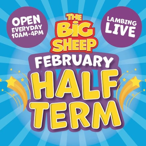 Family Day Out Family Day Out The Big Sheep The Big Sheep summer of fun