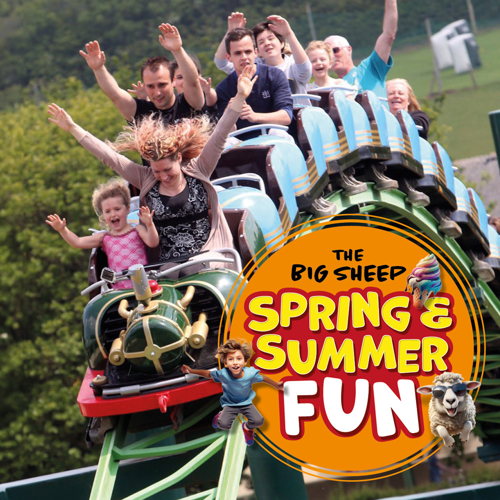 The Big Sheep summer of fun