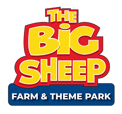 Big Sheep Logo Welcome to The Big Sheep