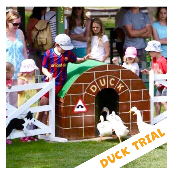 Duck trial Duck trial